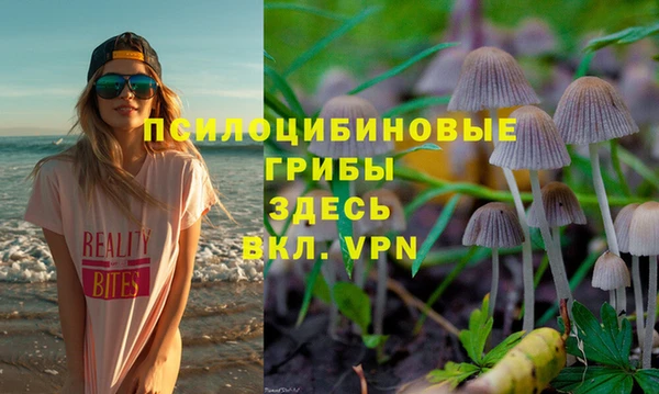 ГАЛЛЮЦИНОГЕННЫЕ ГРИБЫ Медногорск