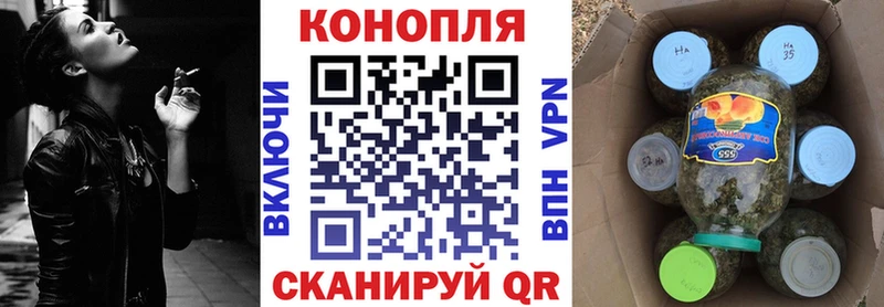 Купить закладки  Строитель  Шишки марихуана Amnesia 